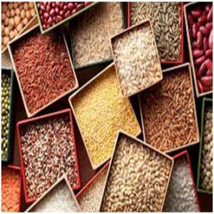 Grains,seeds,Quinoa,chia, fruits dryied tropical - cereals hello sir.--we are a company located in bolivia where we produce,  process,  ship and export to the world by air and sea,  with representative offices in brazil.--our line of cereals and grains of excellent quality and purity,  please request your price quote and payment methods and aditional informatio