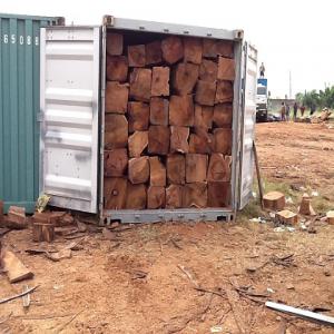 bois de Veins(Pterocarpus erinaceus) - bois charbon fibre toujours a vôtres dispositions pour vous fournir une meilleur qualité, et quantité de bois de veins , au burkina comme au mali.--nb-le prix est négociable selon la quantité de commande du clients, et nombres de clients limite.--pour tout autres information n’hés