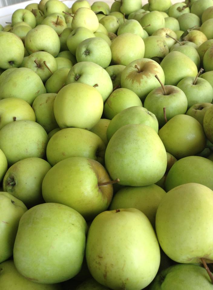 Pomme Golden du Portugal - fruits et légumes bonjour ,  nous sommes une société d'exportation de pommes et de poires.----nous travaillons avec la pomme golden et la rocha poires.------j'attends votre contact pour commencer a organiser la nouvelle campagne.----merci  --