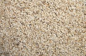 SESAME BIGARRE - semence graine plant nous disposons d'une quantité de 1000t de sésame bigarré.pour plus d'infos veuillez nous contacter--