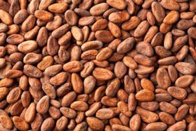 Café cacao et anarca-cade en vente - café cacao thé nous somme une société coopérative et disposons de grosse quantité de cacao. nous cherchons de gros client ou des partenaire pour la vente de nous produit a l'international. alors pour toute grosse société ou personne qui veux de bon produit ,  contactez nous