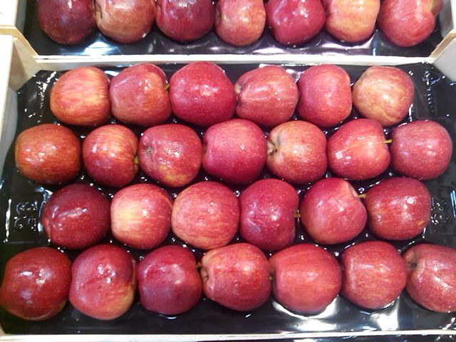 POMME GLODEN & GALLA DE L'ESPAGNE POUR ALGERIE - fruits et légumes bonjour, pour lalgerie, nous avons une trés bonne qualité de pomme gala et golden.expédition cfr du port d'espagne vers les ports de l'algerie, ghazaouatte ou alger----