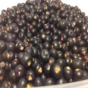 Camarine noire - fruits et légumes disposons de stocks de camarine noire,  récoltées en nouvelle-ecosse,  canada. prix depart halifax 18 eur/kg--produits frais de cet été 2015