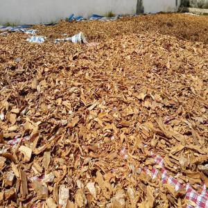 Special offer of Madagascar broken cinnamon - aromatic spices special offer of madagascar cinnamon quills available from now---8. 575 kg per 20 ftc packed in 245 new pp bags ( 35 kg net per bag). fob toamasina port. 