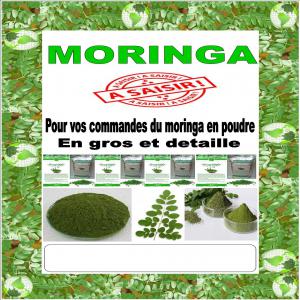 Recherche de partenaire pour exporter le Moringa  - emploi représentation bonsoir --je suis un cultivateur de moringa au sud ouest de la région de kolda,  j'ai un stoke de la poudre de moringa,  je suis a la recherche des partenaires qui pourront acheté notre produit.