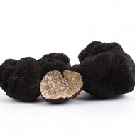 Nous livrons Truffes Noires Fraîches  - champignon levure nous sommes une société d'exportation bulgare de truffes et champignons sauvages. nous pouvons livrer actuellement les frais truffes d'été noire ( tuber aestivum ).pour plus d'informations et de détails s'il vous plaît entrer en contact avec nous