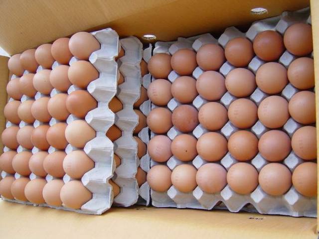 Chicken Table Eggs - meat and eggs we sell middle,  large q-ty brown/white hen/chicken fresh table eggs, --size 50-55gr,  53-63 g/egg, 63-75g.--size-----each group shall be divided into seven classes based on weight (grams--per egg) of each egg in group.--jumbo = 70 and up--extra large = 65-70g--large = 60-65g--medium = 55-60g--small = 5