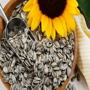 sunflower seeds - roasted seeds and nuts  we can supply other sunflower seeds type- 5009 , 6009 ,  318 , 3638, 3939, 5135, 909, 1121, 363--we also supply pumpkin seeds,  watermelon seeds and kernels of them--all the goods be selected by gravity separator and color sort machine