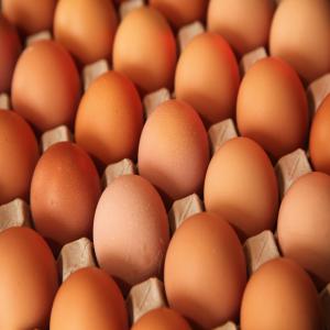 EGGS FOR SALE  - meat and eggs eggs are available in various sizes,  including--40 - 45 grams--45 – 50 grams--50 – 55 grams----30 eggs laid in a tray--12 such trays in a ply carton--360 eggs in a carton--1312 carton in 40 ft reefer container--4, 72, 320 eggs per 40 ft reefer container