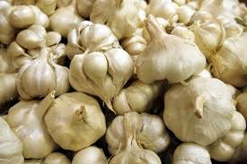 New crops fresh garlic 4.5cm-6.0cm - fruits and vegetables specifications----haccp and global gap --pure white ,  normal white garlic --garlic size- 4.0 / 4.5 / 5.0/5.5/6.0/6.5 --garlic origin-jinxiang, china---- garlic--1) garlic variety- normal white garlic,  pure white garlic----2) garlic size- 4.0cm / 4.5cm / 5.0cm / 5.5cm / 6.0cm / 6.5cm / 7.0cm up----3) 