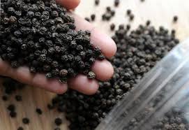 Organic Black Pepper - Whole - aromatic spices a flowering vine in the family piperaceae,  used for its flavour and traditional medicinal properties. black pepper is the cooked and dried unripe fruit of the vine.