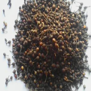 VOATSIPERIFERY (poivre sauvage) - épices aromates c'est du pouvoir sauvage de madagascar,  qu'on a à vous proposer,  à vous qui s'y intéresse. veuillez vous adresser directement par mail votre commande,  ou si--vous voulez plus d'informations.--cordialement