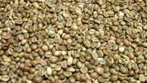 CAFE ROBUSTA DE MANAKARA - épices aromates chère madame,  cher monsieur, --en ce moment nous disposant 10 tonnes de cafe robusta.--pour plus d information veuillez nous contacter.merci--