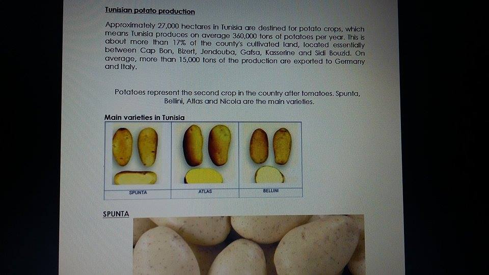 POMME DE TERRE - fruits et légumes je cherche des acheteurs de pomme de terre en grand quantité pour l’exportation prévu du début février a fin juin.en effet, la livraison se fera par bateau ou autres.par ailleurs nous disposons d'une compagnie de transite efficace pour l' acheminement des produits.  