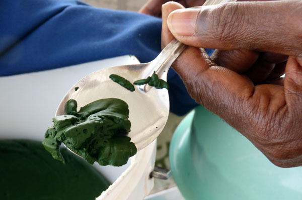 producteur de spiruline  - horticulture plante biocarburant bonjour nous sommes une ferme de 1600 m2 rénovée elle peut ainsi repondre a des normes d hygiénes indispenssable.  entierement carrelée nous évitons au maximum la contaminations de l algue par des poussières.nos techniciens sont eux aussi mis a contribution 