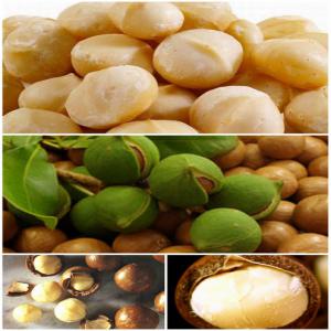 Macadamia Nut  - roasted seeds and nuts product specification----nutrition facts----amount per 100 grams----calories-718--% daily value*--total fat 76g-116%--saturated fat 12g-60%--polyunsaturated fat-1.5 g	--monounsaturated fat-59 g	--cholesterol 0mg-0%--sodium 5mg-0%--potassium 368mg-10%--total carbohydrate 14g-4%--dietary fiber 9g-36%-