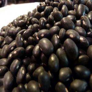 Black Kidney Beans - cereals specifications----name- black kidney bean --moisture-16%max --impurity-0.2%max --imperfect-3%max --package-50kg pp bag---- --hps quality---name- black kidney bean--moisture-16%max--impurity-0.2%max--imperfect-3%max--size;500-550--package-50kg pp bag-- --mc quality---name- black kidney bean--moisture