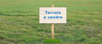 Hectares de terres agricoles à venddre - mine terrain concession pour intéressé par un achat de terrain pour projet agricole nous avons actuellement 300 ha disponible dans la région du centre cameroun et la région sud kribi non loin de la zone portuaire.--plus de 5 ha dans la région du littoral pour les projets de construction.