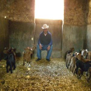 production du fromage - lait et produits laitiers nous cherchons d'avoir un partenaire professionnele pour la production du fromage au maroc.--nous avons bien situé entre casablanca & rabat 15 km de la ville de mohammedia au maroc entouré de plus 400 ha de forets enregistré pour l'elevage par le menestère d'agriculture m