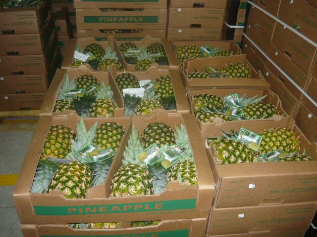 fruits et légumes exotiques - fruits et légumes ananas republique dominicaine md2 sweet et ultra sweet , calibre 7 ,  8 et 9 , aerien et maritime