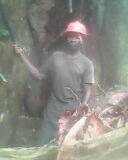 PROPRIETAIRE D'UNE VASTE FOREST DE BOIS au CAMERO - bois charbon fibre mr.----je suis proprietaire d'une vaste foret au cameroun dont on y trouve plusieurs especes de bois grume que je met a la disposition de tou entreprise qui fait dans l'exploitation du bois, je suis a votre disposition pour tout autres information.----merci ----