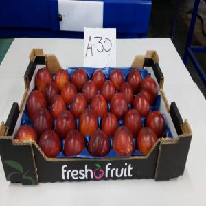   ventes nectarines  - fruits et légumes nectarines d'espagne  par caisse de 4 kg ,  176 plateaux/palette--calibre 37, 35, 30, 28 les prix vont de 1, 75€ à 2, 25€ fob  perpignan-- 