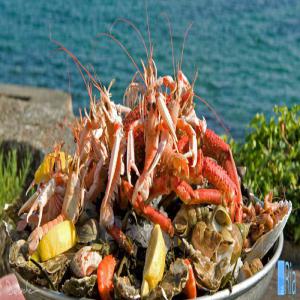 Vente de poisson  - poissons bonjour je suis fournisseur de poissons. contacter moi en toute moments ,  je vais énorme et en sécurité de votre choix ,  je fourni aussi des fruits de mers de très bonnes qualité cela veux dire des fruits de mers vivants et humides avec chair bien développer