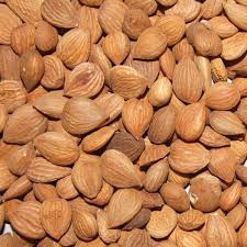 Apricot Seeds - roasted seeds and nuts we are producers and suppliers of premium quality apricot seeds.we offer the apricot seeds at very competitive prices.please contact us for more details and procedures of delivery.