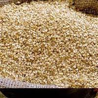 Sesame Seeds - roasted seeds and nuts we are producers and suppliers of premium quality sesame seeds.we offer the sesame seeds at very competitive prices.please contact us for more details and procedures of delivery.