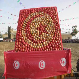 Grenades Pomegranates - fruits et légumes les agriculteurs de gabes unissent leurs forces pour garantir à leurs clients les meilleures grenades indication de provenance de tunisie.----grâce à notre production de 1000 tonnes de grenades conventionnelles et de 400 tonnes de grenades issues de l’agriculture biologiques,  nou