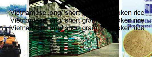 le riz au Vietnam - cereals --we are the largest distributors of rice from vietnam and our stocks are around 200 000 tonnes at any time,  taking into account the turnovers of our sales.----we propose you our best prices for fragrant jasmine rice from the 5% broken to the 100%----_no restriction----_ container 20 feet or 40 feet