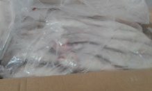 forzen  grey mullet  - poissons we  can offerr --high quality frozen grey mullet fish--variety--grey mullet--origin--mouritania--packing--20kg/ctn--style--frozen--freezing process--iqf--delivery detail--15 days after confirmation--whole--brand name. asmak --