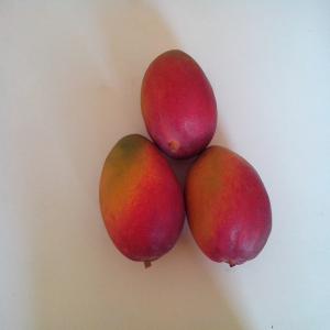 Mangues certifiées - fruits et légumes nous possédons des productions et centre de conditionnement de mangue certifiées global-gap en côte d'ivoire,  nous cherchons un partenaire pour un partenariat gagna gagna.