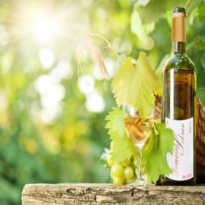 Vin blanc Muscat Ottonel 2015 - vins en vente 4 500 bouteiilles de vins blanc mouscat ottonel recolte propre de 2015 produit soigné , et fait pour export en belgique.possibilitée d'autres sepage pour l'année prochaine.achat en petites quantites possible.