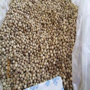 white pepper pleiku/viet nam - épices aromates white pepper pleiku--vietnam--straight from plant--moq- 10kg--payment- tt or bank transfer--delivery mode- tnt,  dhl or post office. a tracking number could be informed from a simple request.--if order more than 1 ton,  please feel free to contact us for more information