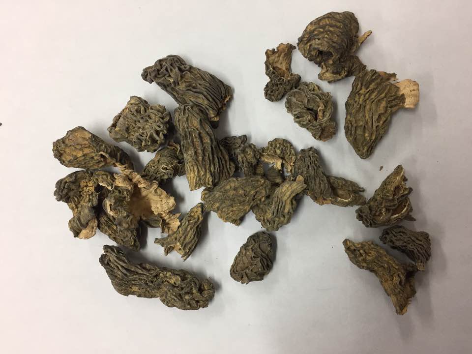 Morilles Kyrgyzstan - champignon levure nous somme un fournisseur de morilles asie,  notamment celui de kyrgyzstan et chine.----nous pouvons déplacer pour vous montrer l'échantillons dans la région d'idf,  ou vous pouvez venir à notre bureau dans centre de paris 2e.----dans l'attente de votre prise de contact. --