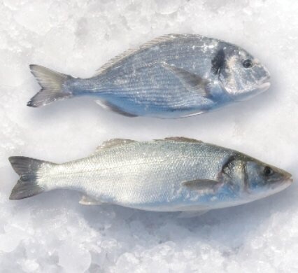 vente de poissons frais  - poissons entreprise tunisienne implante a paris spécialisée dans la vente et l'export de poissons frais en gros à des prix négociables (dorade,  espadon,  loup,  rouget,  poissons bleus .....crustacés...)