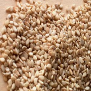 Sesame Blanc - semence graine plant sesame blanc nettoyé ---320, 000 cfa / tonne f.o.b .--19 tonnes / conteneur 20 pieds .--le transport varie selon la destination et la saison.----