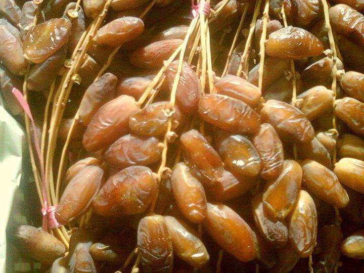 dattes tunisiennes - fruits et légumes producteur et grossiste des dattes tunisiennes  deglet ennour , on cherche a s'ouvrir sur l'international et conquérir des nouveaux marchés internationaux.