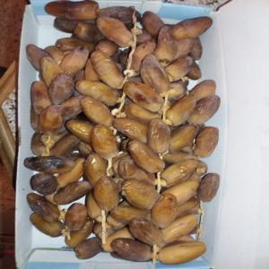 datte (deglet nour)  - fruits secs et graines grillées nous avons une quantité importante de dattes tunisienne plus de 500 tonnes de dattes conditionnées  .----nous somme à votre disponibilité de toutes autres informations. 