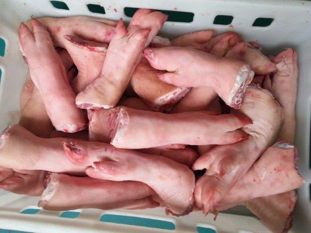 Frozen Pork Front Feet and Hind Feet - meat and eggs we offer for sale frozen pork front feet and hind feet in 10kg cartons. contact us now to place order. 