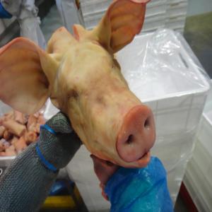 Pork Heads, Neck Bones, Back Bones, Flat Bones - meat and eggs we are pork slaughter factory in chile,  factory 06-06. we offer for sale the below pork cuts---frozen pork half heads in cartons of 20kgs,  bulk.--frozen pork mask in 10kg cartons,  bulk.--frozen pork neck bones in 20kg cartons,  bulk.--frozen pork back bones in 20kg cartons,  bulk.--frozen pork flat bo