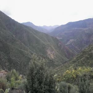 Miel en pots - produits sucrés mon miel est un produit bio des hautes montagnes de l'atlas blideen. mon rucher est dans un lieu pas du tout pollue et tres isole.