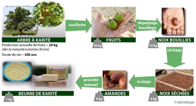 Unite transformation Beurre de karité  - fruits et légumes bonjour--je suis a la recherche des partenaires pour la mise en place d'une unité de transformation du karité, net de pate d'arrachide, afin de poursuivre la commercialisation.--pour plus d'information je suis disponibles sur wattsapp --je suis a votre entière disposition.