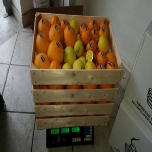 Citron Clémentine Oranges de Ribera en France - fruits et légumes nous sommes intermédiaries et recherchons acheteurs des citrons,  clémentines et oranges de ribera (sicily) en france et suisse