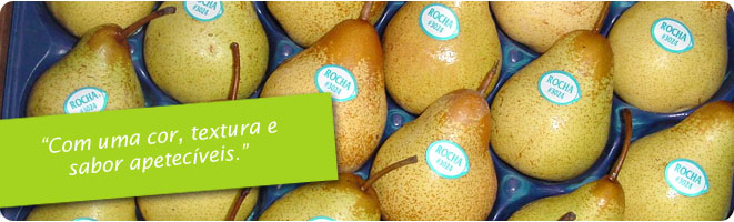 POIRES ROCHA - fruits et légumes vente poires rocha----excellente qualité--origine- portugal--conditionnement- boîtes de 10kg / cartons simples / cartons alvéoles… 4 kg,  6 kg…--normes sanitaires respectées.----prix competitifs!!!