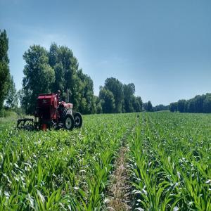 Terrain agricole a vendre pour Agro industrie  - mine terrain concession nous recherchons des entreprises et personnes pour la vente d'un terrain à but agricole situé dans les villes de kribi,  yaoundé et douala au cameroun contact