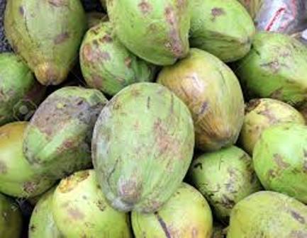 VENTE DE COCO - fruits et légumes bonjour, ----mise à disposition pour vente de ---noix de coco débourrées--calibre a,  b c--recolte - 2015 - 2016--harvest - 2015 - 2016--qté / qty - 2-4 tc 20  / mois--conditions - loco magasin / fob--prix - 100.000f cfa/tonnes - 165.000f cfa (fob)--150€ - 250€/tonne (prix 