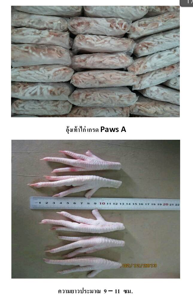 Cherche exportateurs de pattes de poulet - viandes et oeufs bonjour,  je cherche des exportateurs de pattes de poulet (process chicken feet) en (algérie,  tunisie,  maroc) de 1 a 10 containers par mois pour l'exporter en asie.( pattes de poulet  bien nettoyer peau enlever blanche pas de tâche noir pas d'os brisé bien congelé de -40 -1