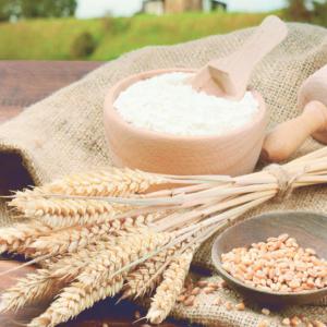 Wheat flour - other is export-oriented. and it works,  as a subsidiary of a group of companies operating in the agricultural market and having their agricultural area